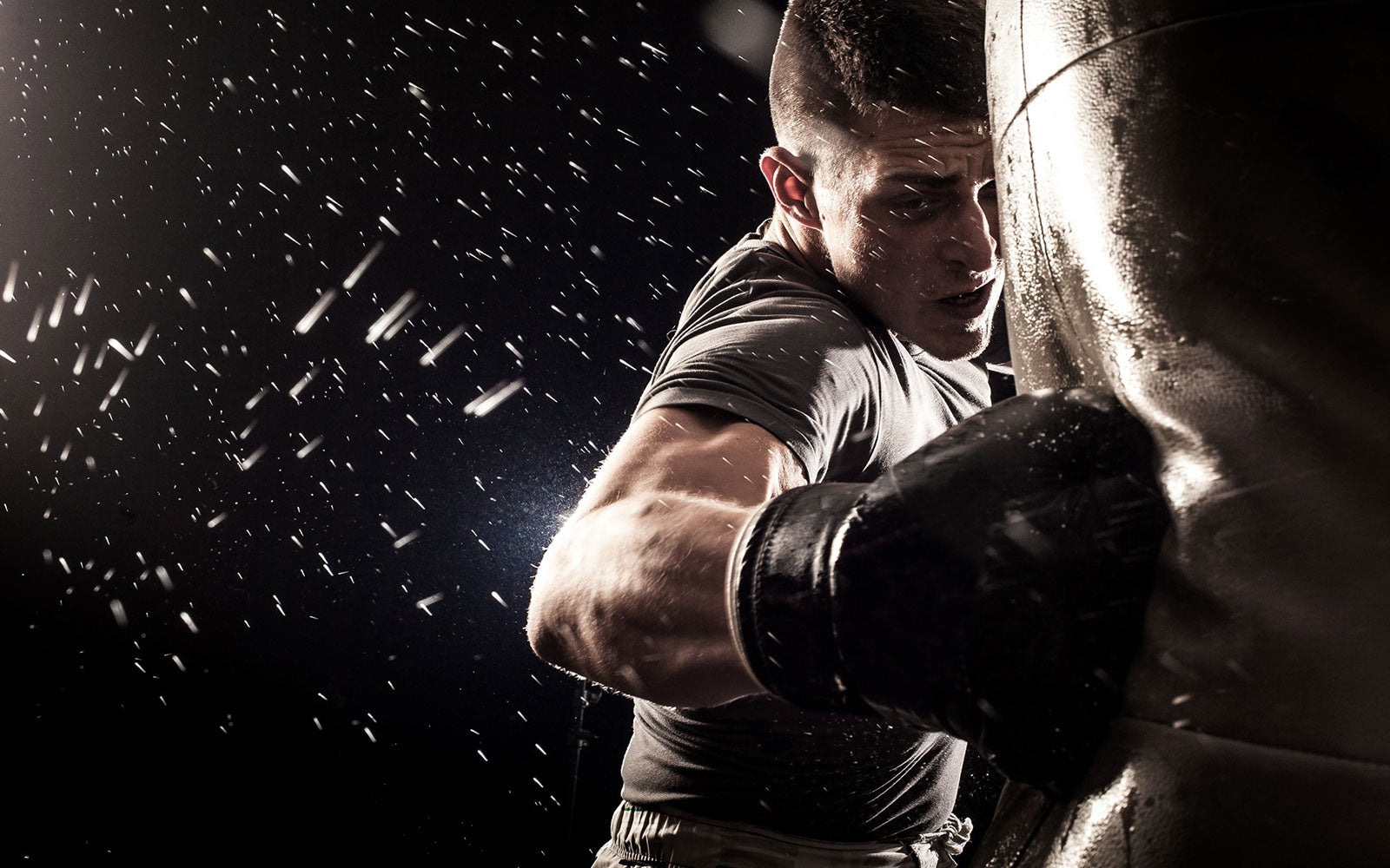 Conditioning Vendors